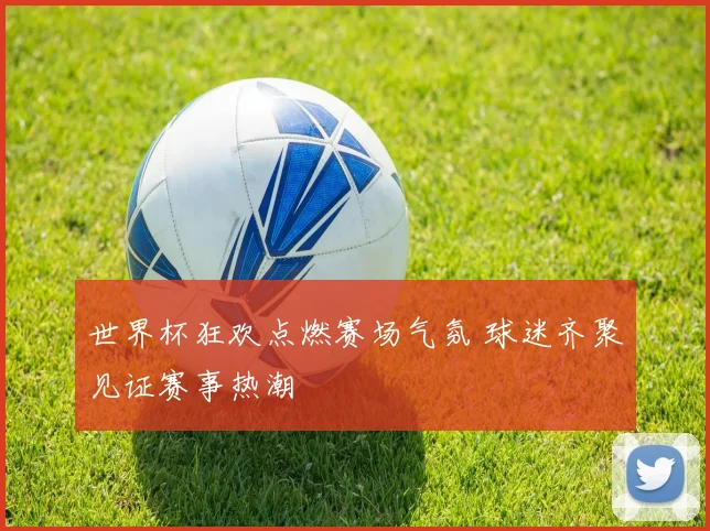 世界杯狂欢点燃赛场气氛 球迷齐聚见证赛事热潮