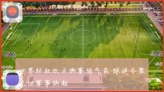 世界杯狂欢点燃赛场气氛 球迷齐聚见证赛事热潮